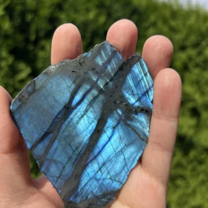 Labradorit Naturstein mit blauem Schimmer, von Hand gehalten vor grünem Buschwerk
