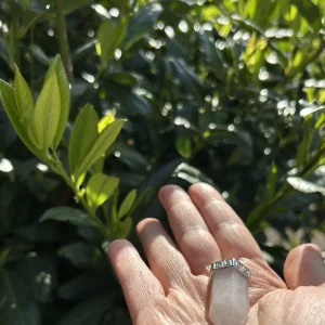 Hand hält Bergkristall Anhänger vor grünem Blattwerk mit Sonnenlicht